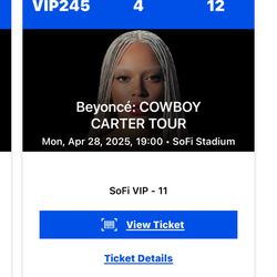Beyonce SofiStadium first Show Of The Tour