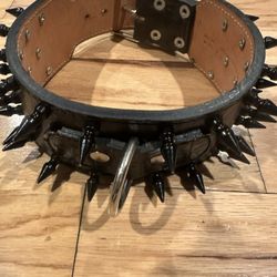 Leather Spike Dog Collar 