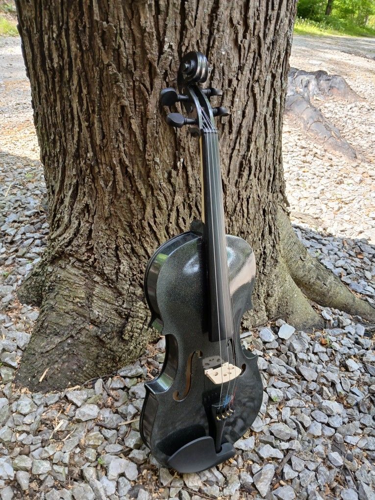 Brand New Maple Wood Violin With A Beautiful Deep Black Finish, CaseBow&Rosin Included
