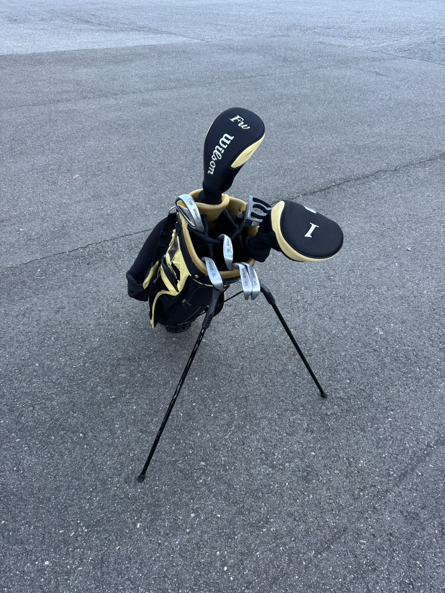 Wilson golf set