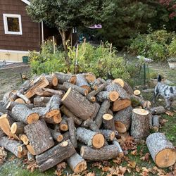 Bigleal Maple Rounds cut for Bucking