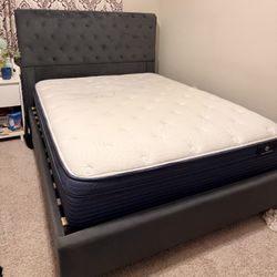 Velvet Upholstered Platform Bed | Includes Mattress 