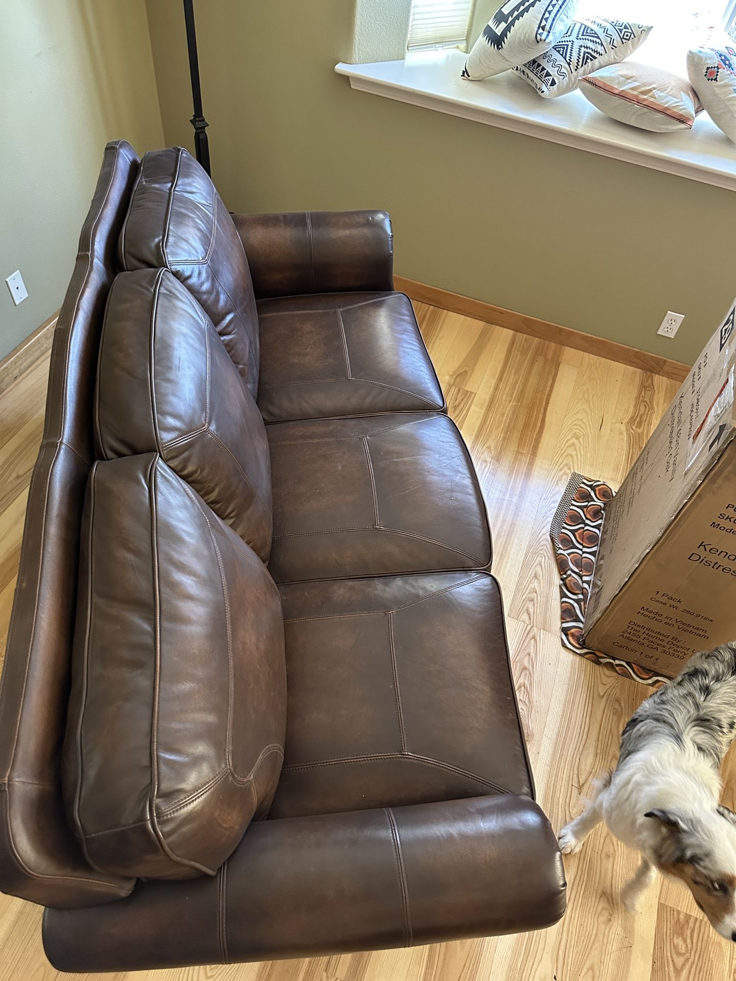 Genuine, Leather Couch, Dark Brown