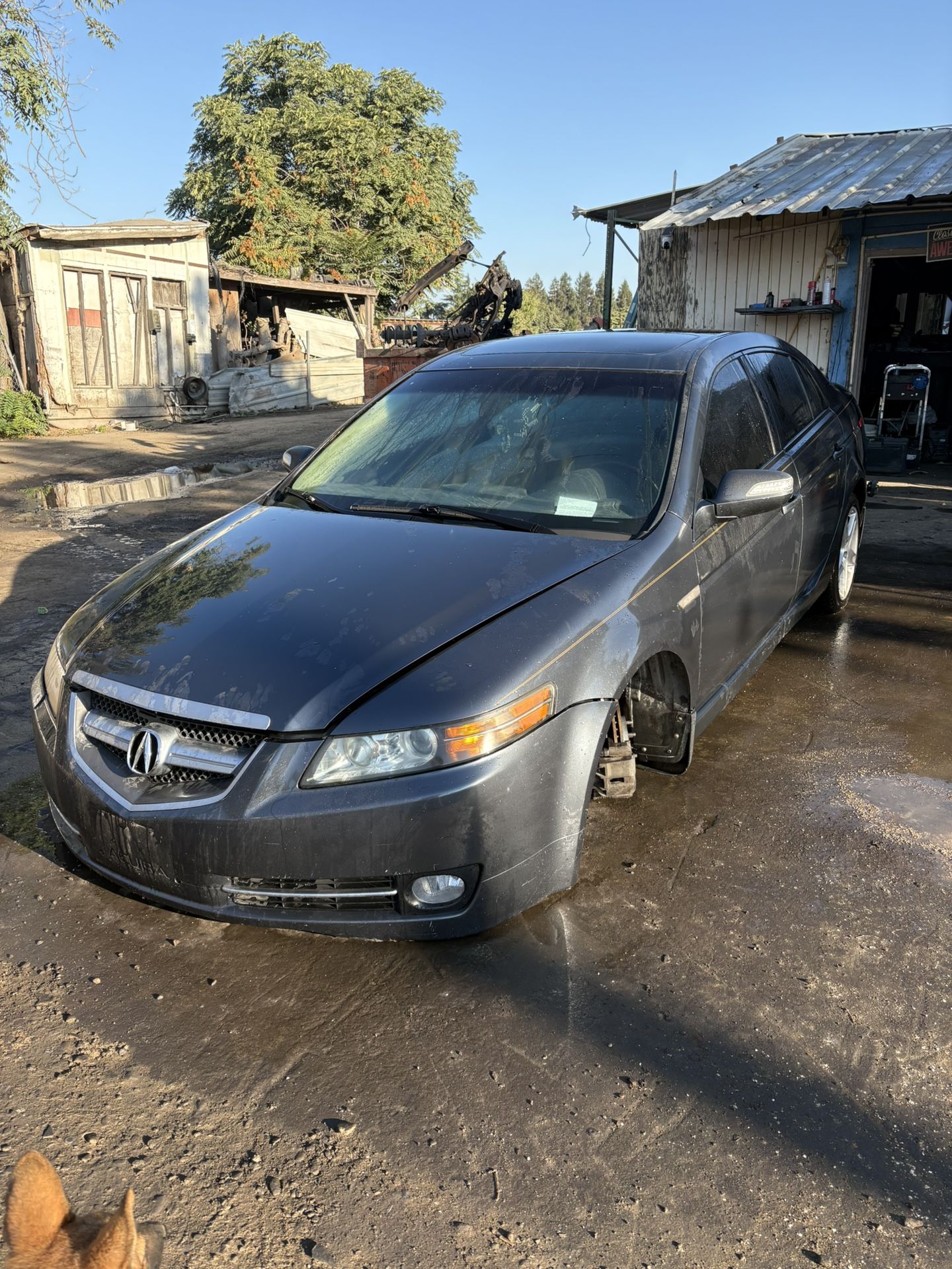 2007 Acura TL Part Out
