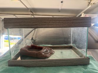 Small Glass Aquarium Tank with Wood Trim