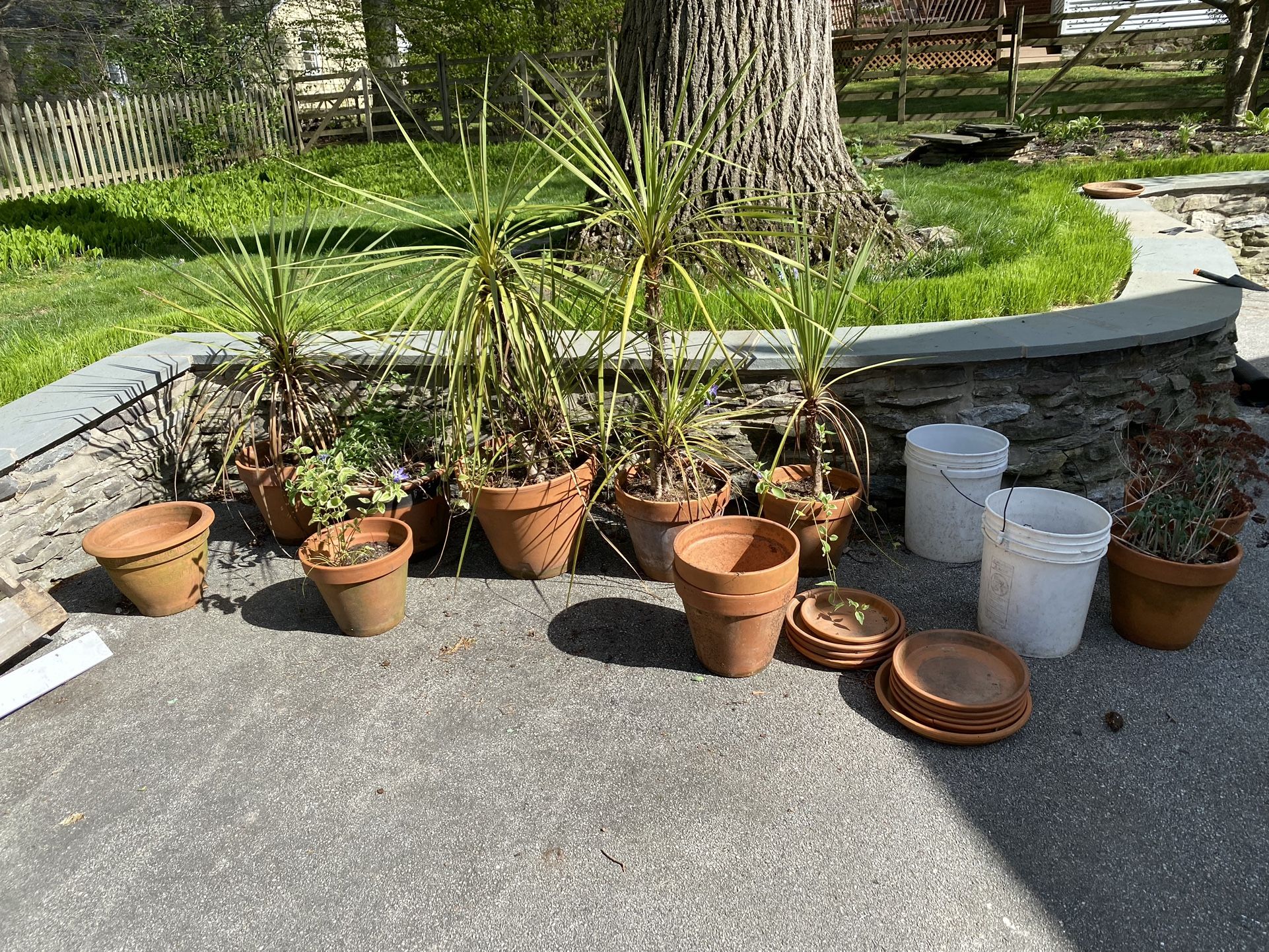 Outdoor Flower Pots (planters)