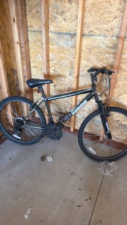 Mountain bike