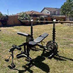 Bench Press/ Weights 