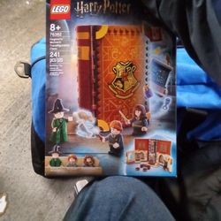 Hogwarts Moments Transfigure Class