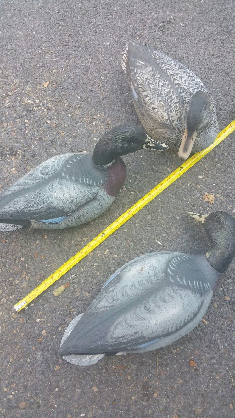 3 large Duck decoys