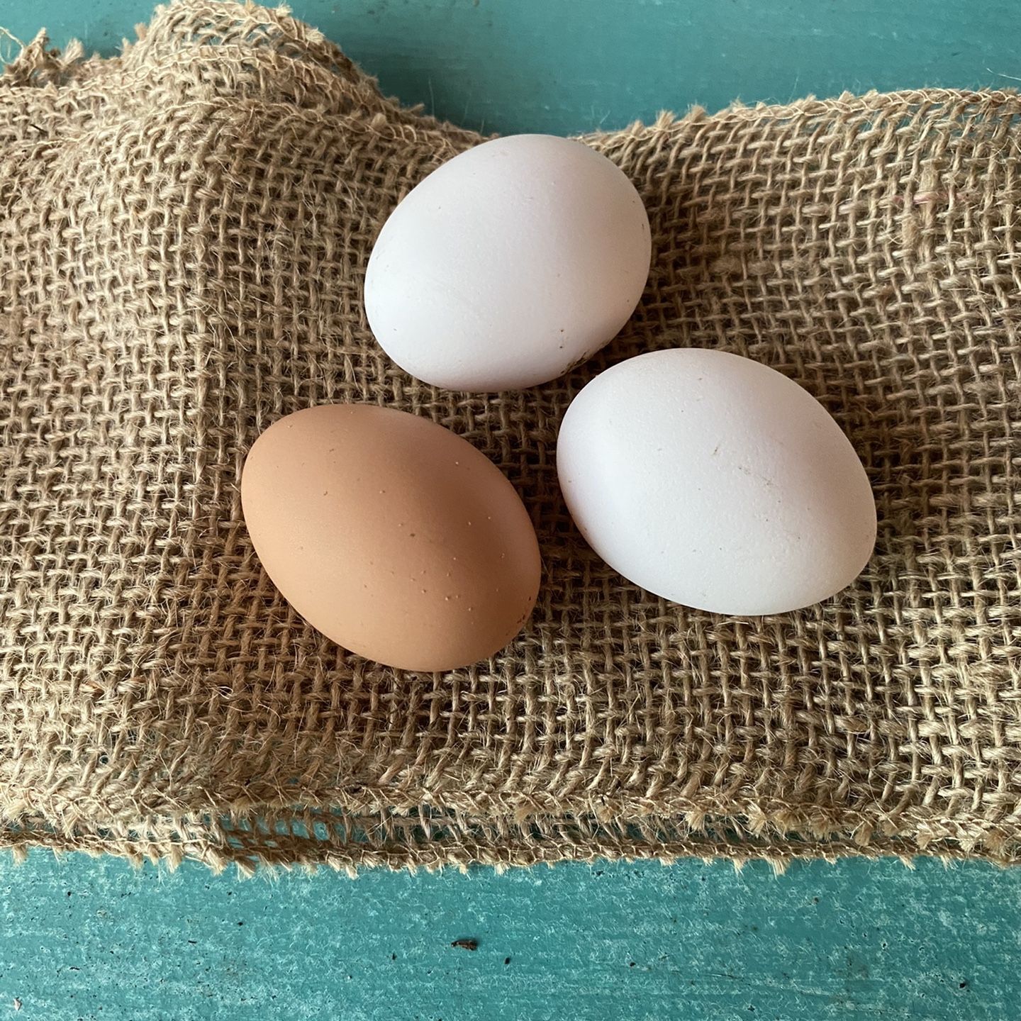 Plenty Of Farm Fresh Eggs