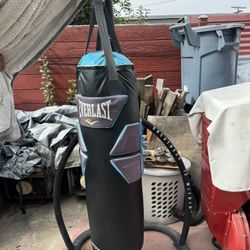 80p Punching Bag And Stand 