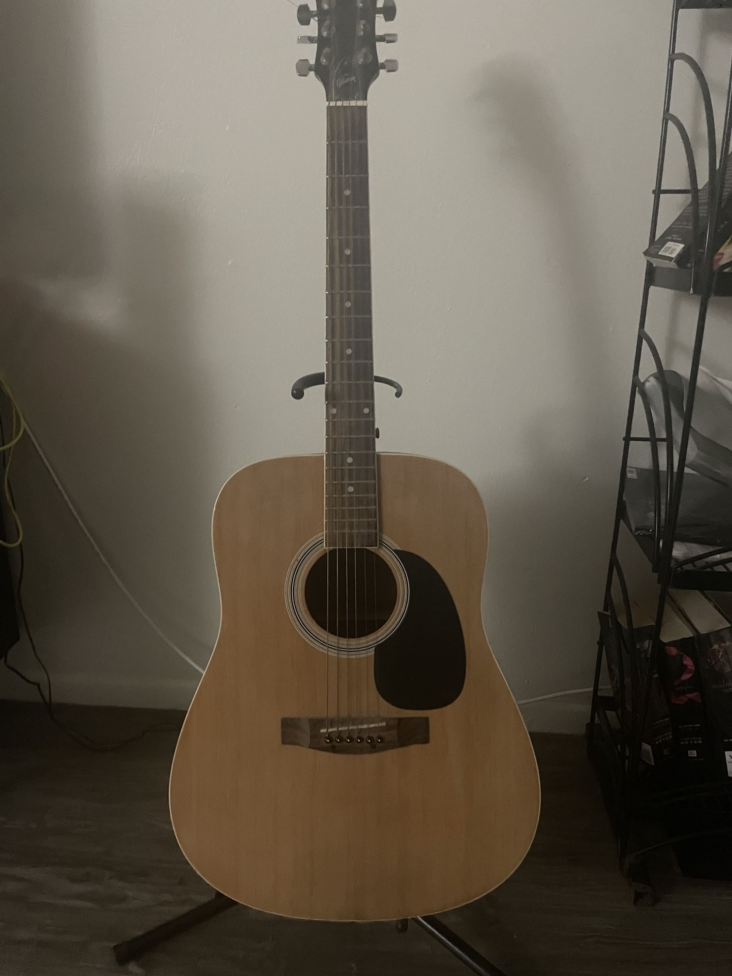 Guitar and Stand