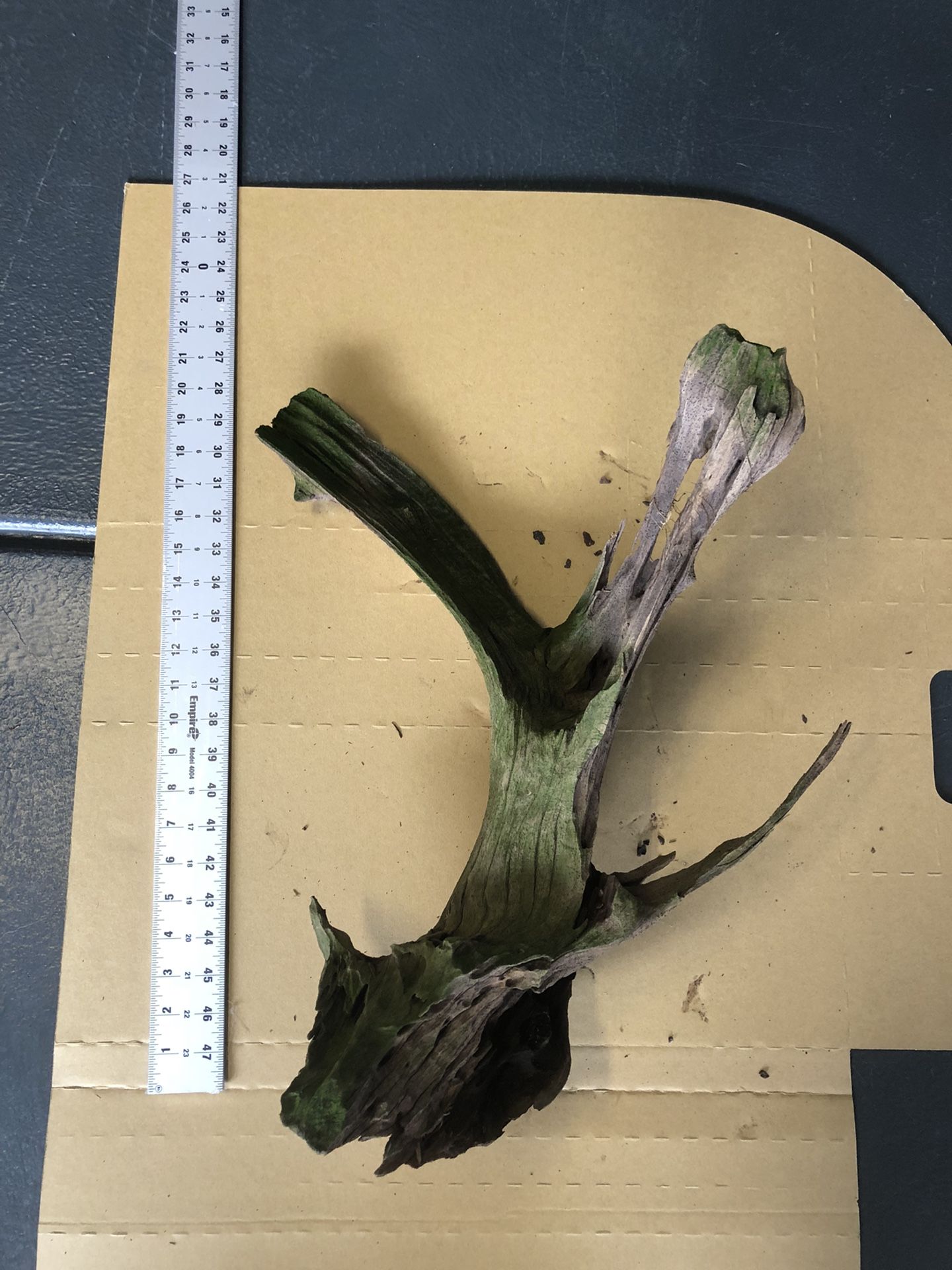 Large Aquarium Driftwood