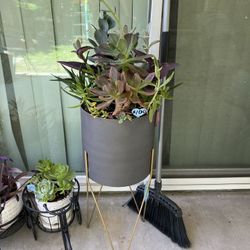 Large Beautiful Succulent Planter