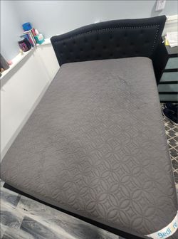 Queen Metal Platform Frame w/Matress