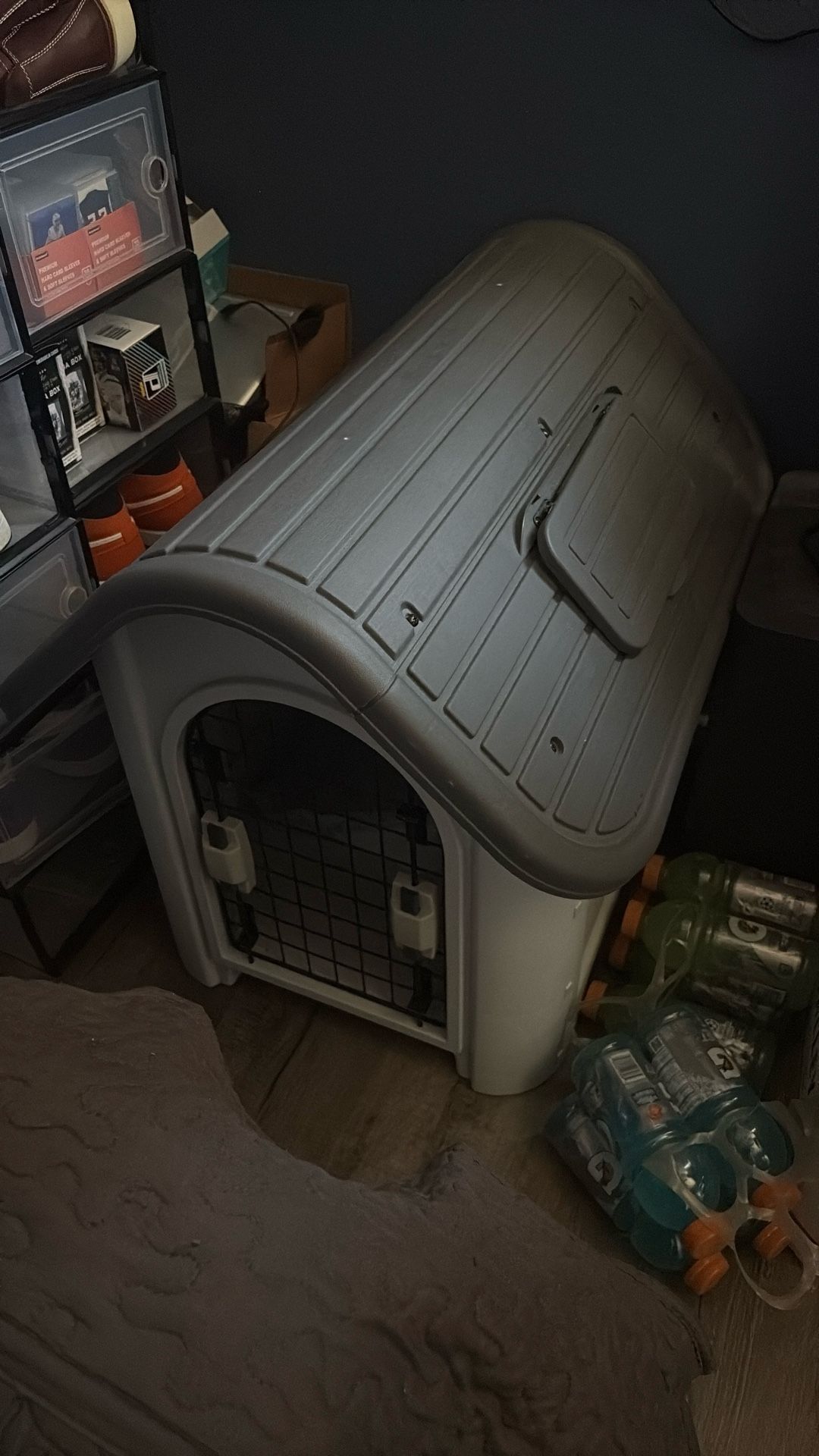 Dog House 