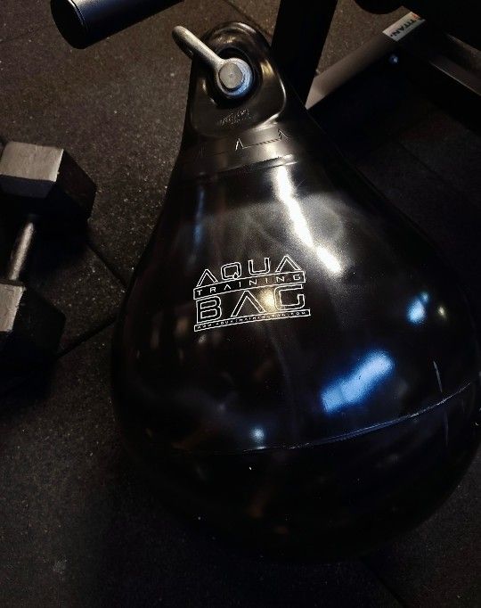 Aqua Punching Bag