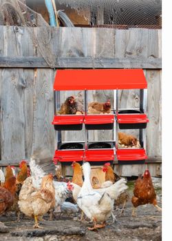 Chicken nesting box