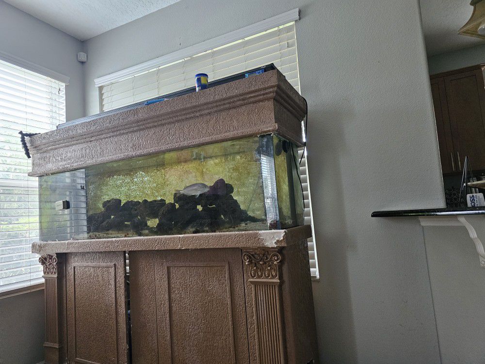 125 Gallon Saltwater Tank With Sump