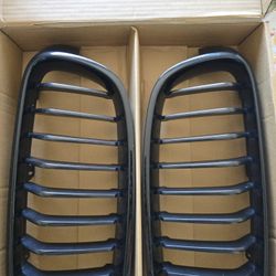 Oem Black F30 Grilles