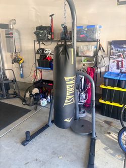 Elite everlast punching bag