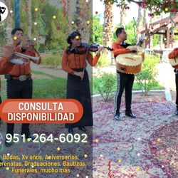 Mariachi Para Todo Tipo De Eventos