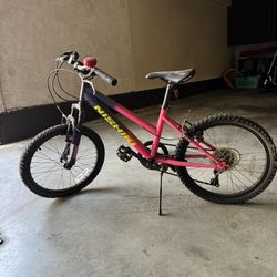 Nishiki "Girls' Pueblo 20" Mountain Bike"