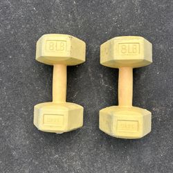 2 8lb Dumbbells 