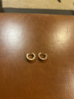 Stainless Steel Earrings 
