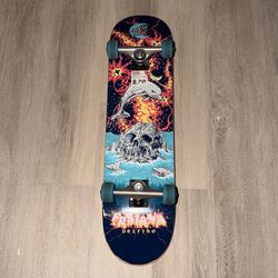 Santa Cruz  8.0 Skateboard- Fabiana Delfino
