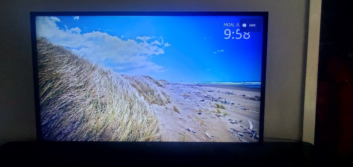 LG 55" Smart TV