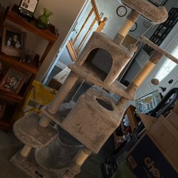 Cat Tree