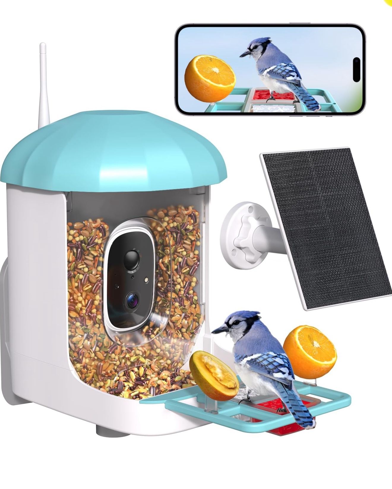 Bird Feeder with Camera, Smart Bird Feeder with Camera 1 Year Trial AI Identify Birds Species with 3W Solar Panel HD Live Video Birds House with Cam 2