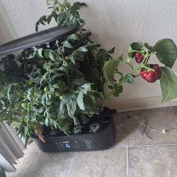  Infoor Herb Garden  Hydroponics Brand: Ahopegarden