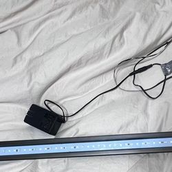 Fish Tank Light 