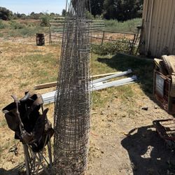 Large Tomato Cages