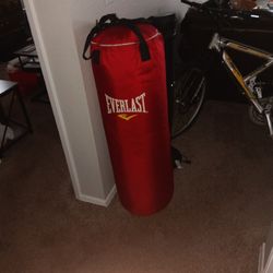 Punching Bag