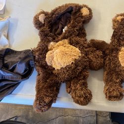 Teddy bear dog costumes