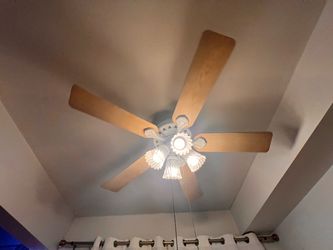 Ceiling fan