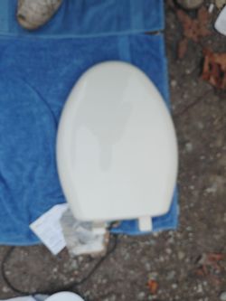 Beams oblong toilet seat