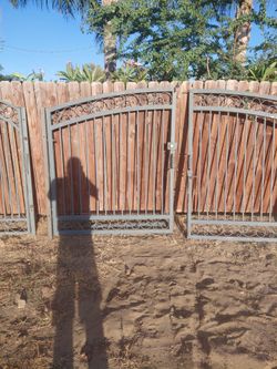 Driveway swinging gates with side door