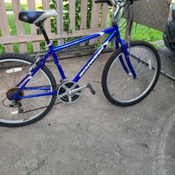 Schwinn Bike Size 26"