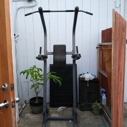 Pull Up Dip Station Tower