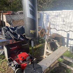 punching bag