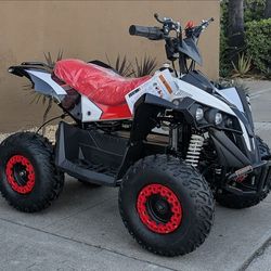 Volt 1000 Electric ATV