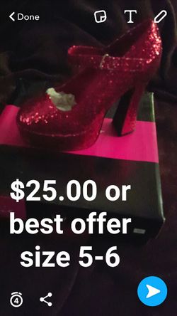 Halloween costume shoes used for Dorothy costume