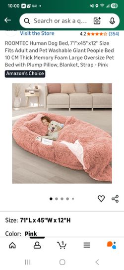 Human Dog BED