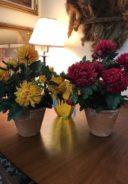 Faux Plants in terra Cota planters