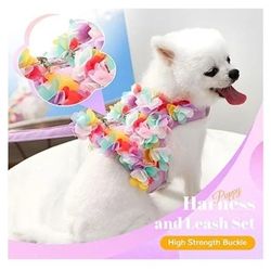 Cute Small Dog Harness/Leash Set Purple